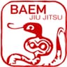 Baem Jiu Jitsu